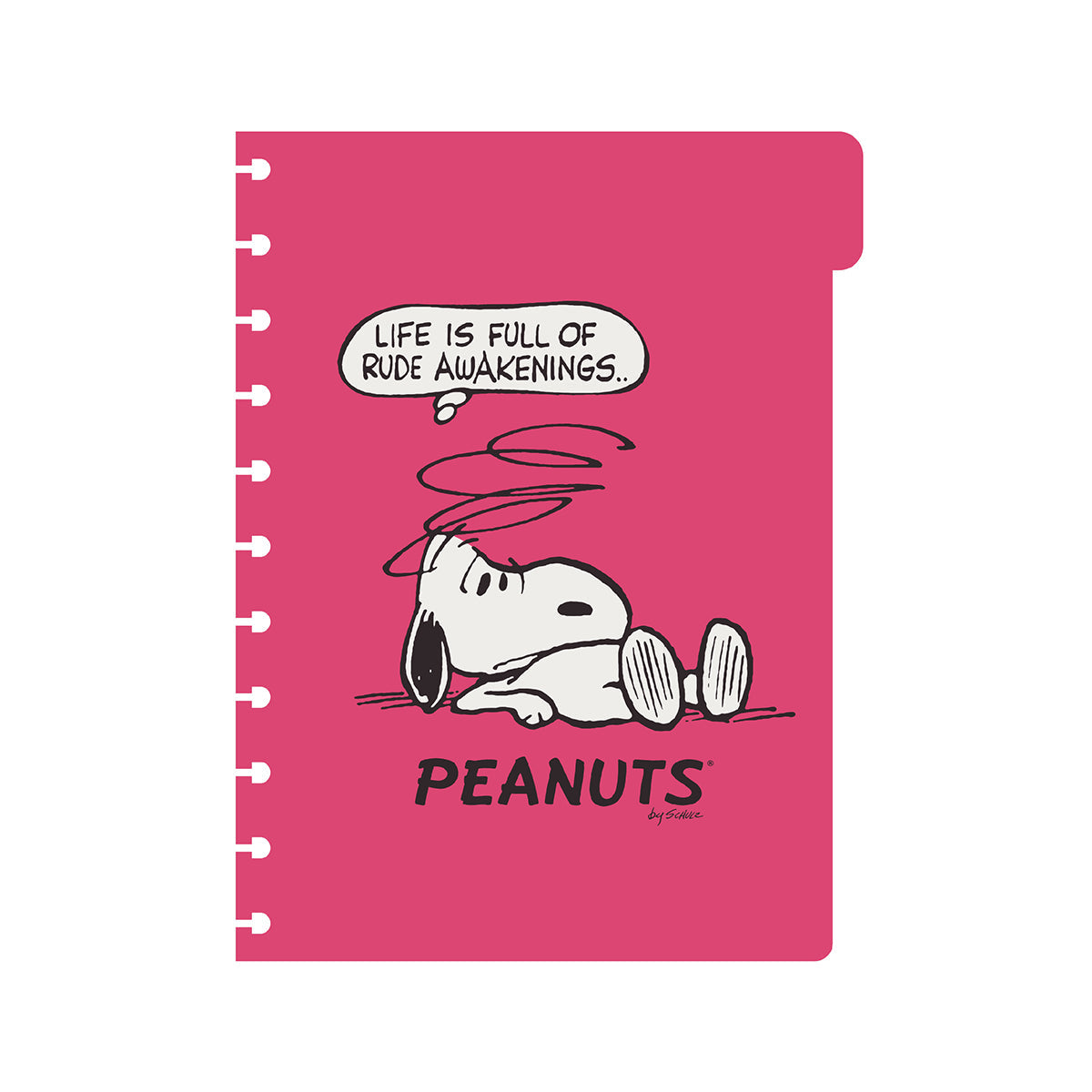 Cuaderno de Discos Carta Snoopy